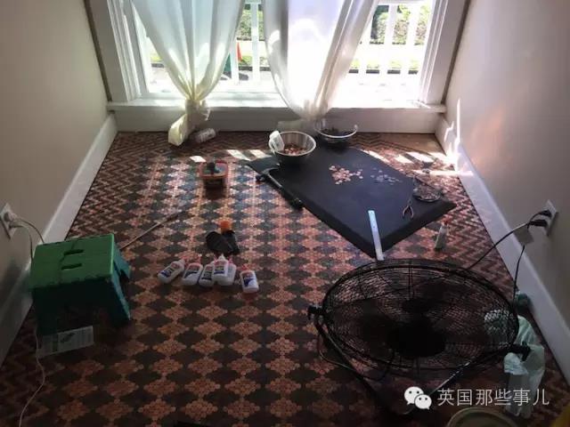 Chinese老肥婆高潮