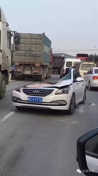 肏屄软件