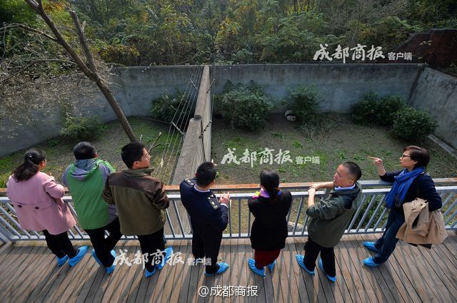 黄色网站18观看