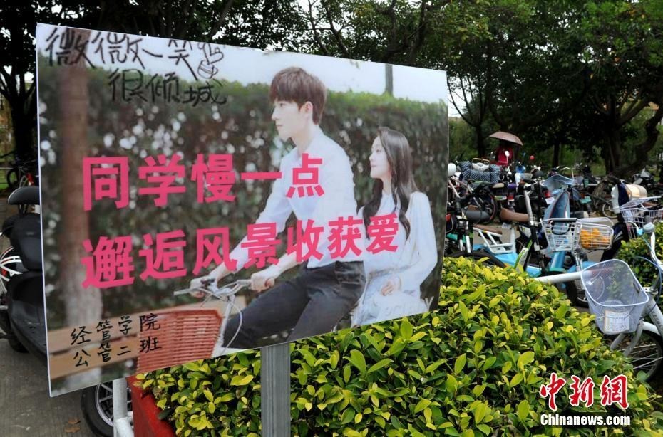赖美云
