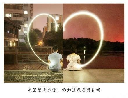 A级毛片免费