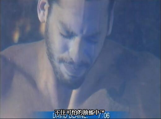 欧美人与禽动ZoZ0