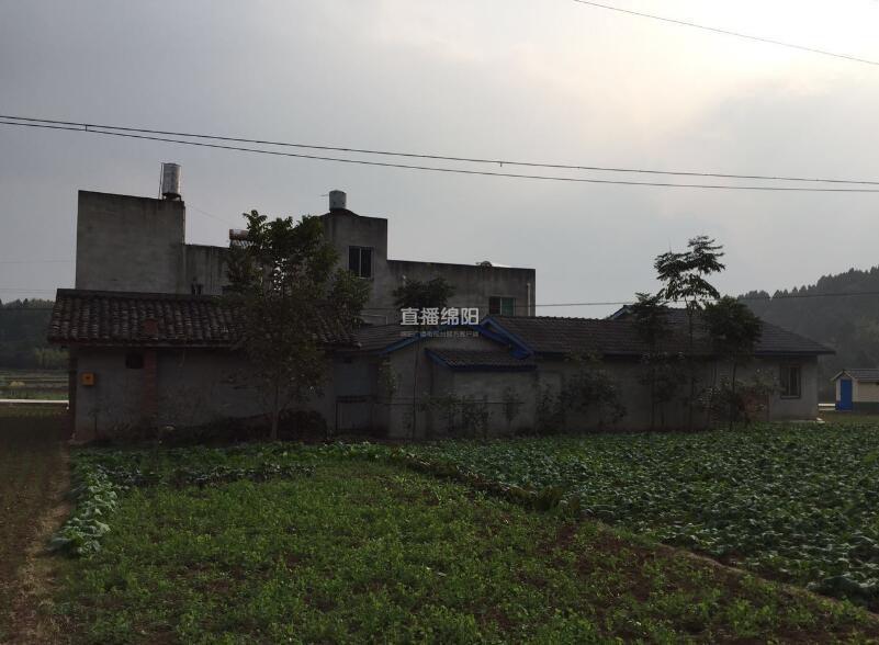 免费的激情黄色片