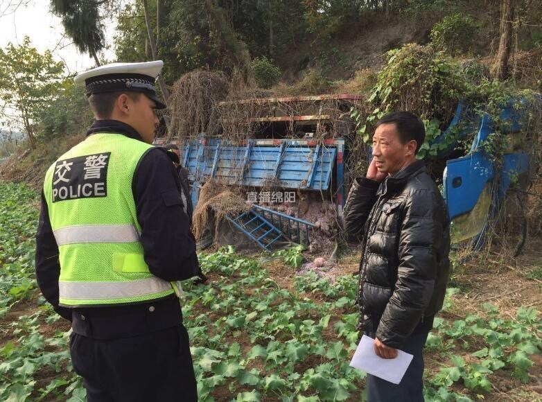 有免费直播Av毛片吗