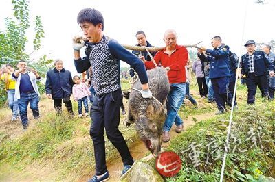 女人脱精光直播app大全