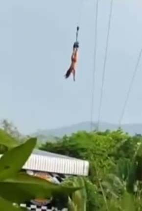 欧美H在线观看