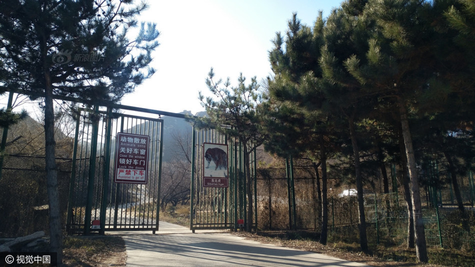 极品瑜伽教练