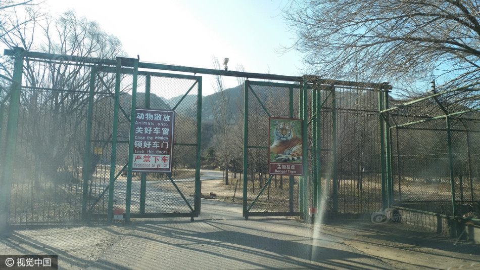 日韩视频一区