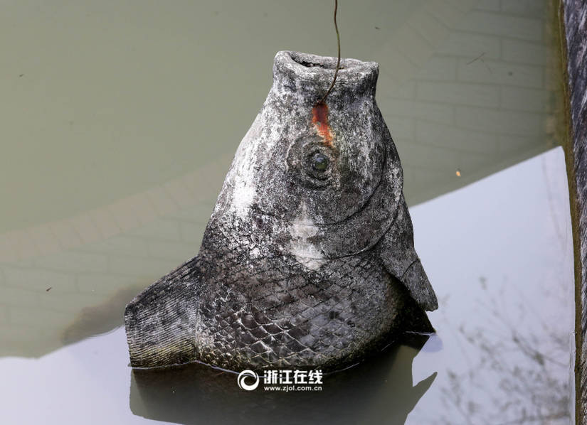 体内裸交