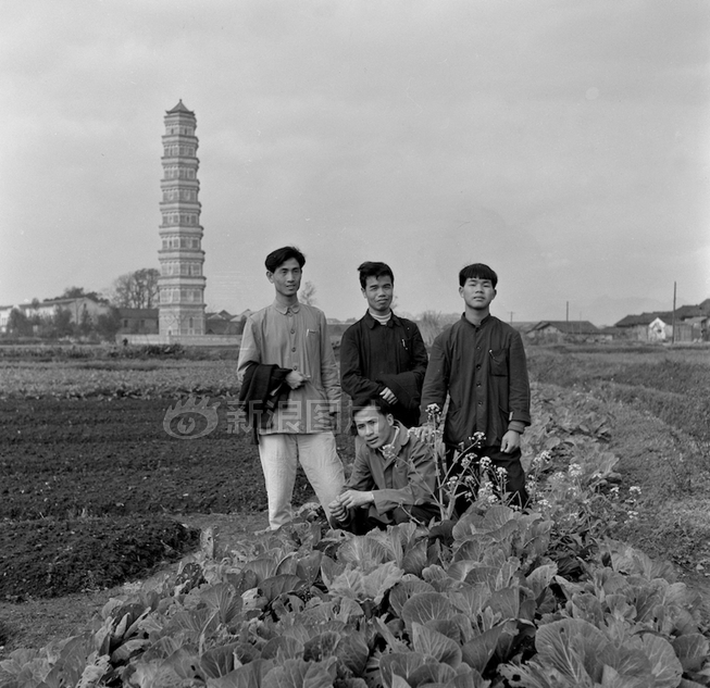 四虎网址