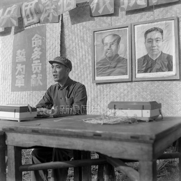 三级、三级黄色片