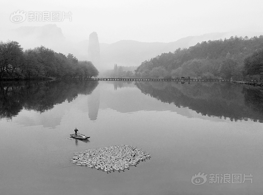 黄色网络高清