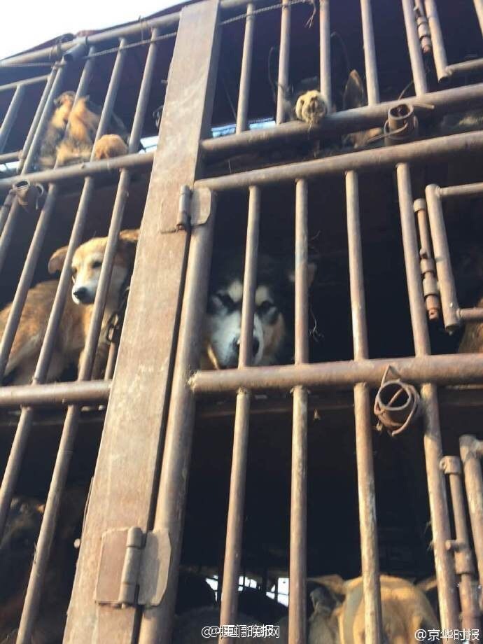 无遮挡性爱视频