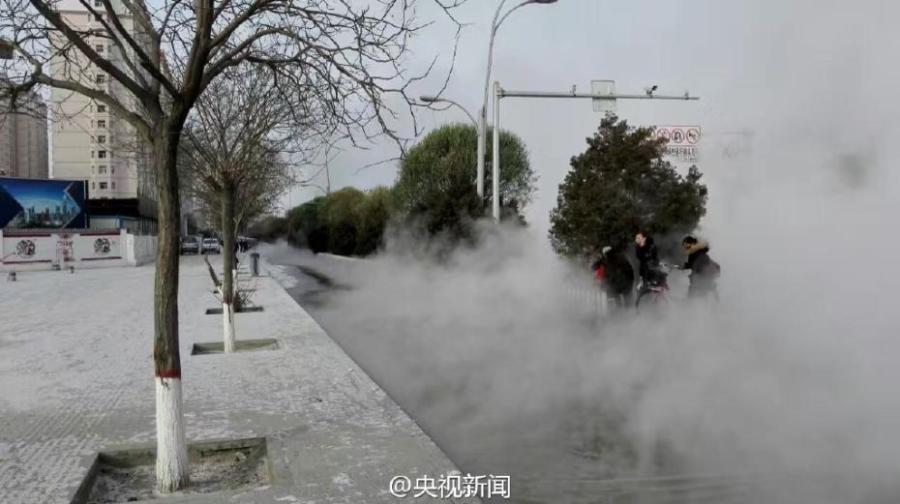 一区二区在线视频
