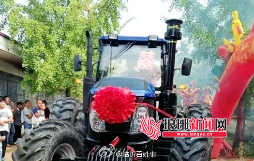 菠萝福利