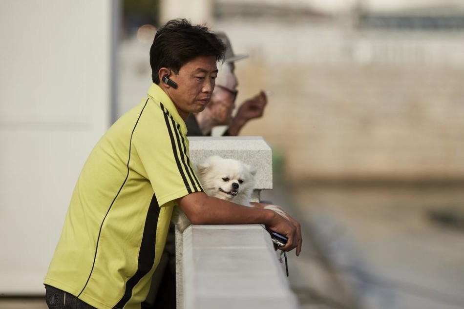 辣文小说网