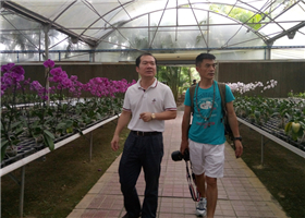 网上 免费 看 色情 片