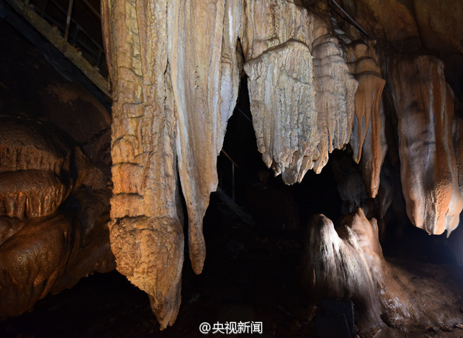 雞排妹