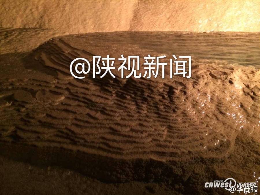 黄色网址视频网站