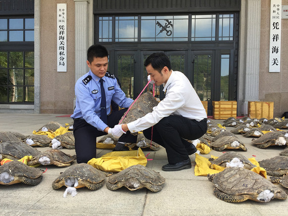 成人 电影 片