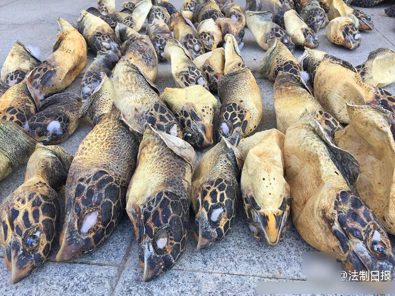 欧洲乱伦视频