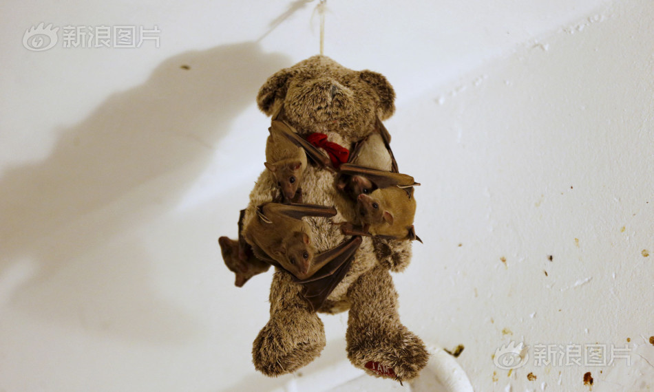 亚洲精品自拍偷拍