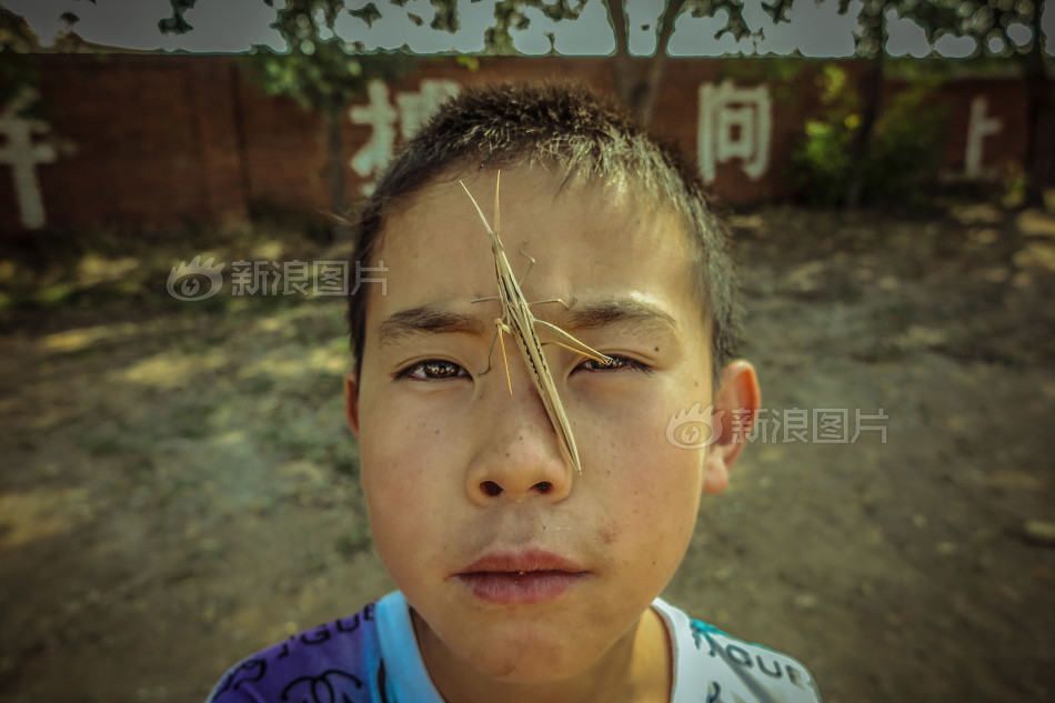 同性男男黄Gary免费