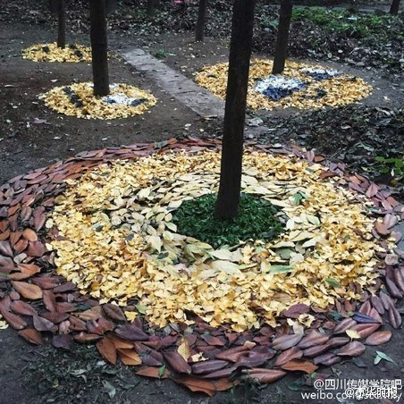 接吻伸进乳罩里捏奶