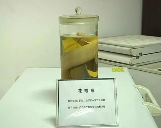 国产经典黄色网站