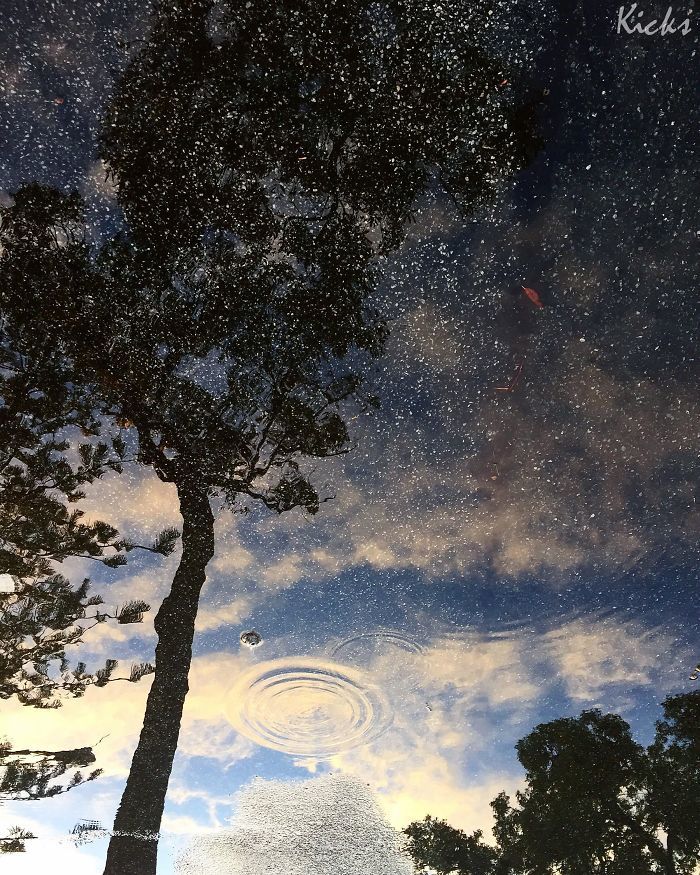 特级毛片《武则天》