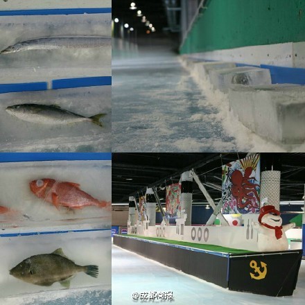 胖女色情片