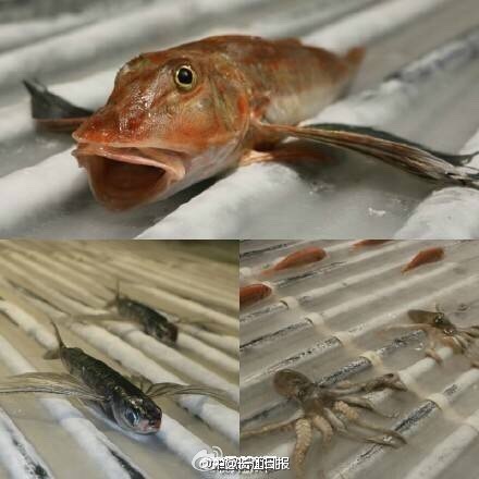 涩涩网站