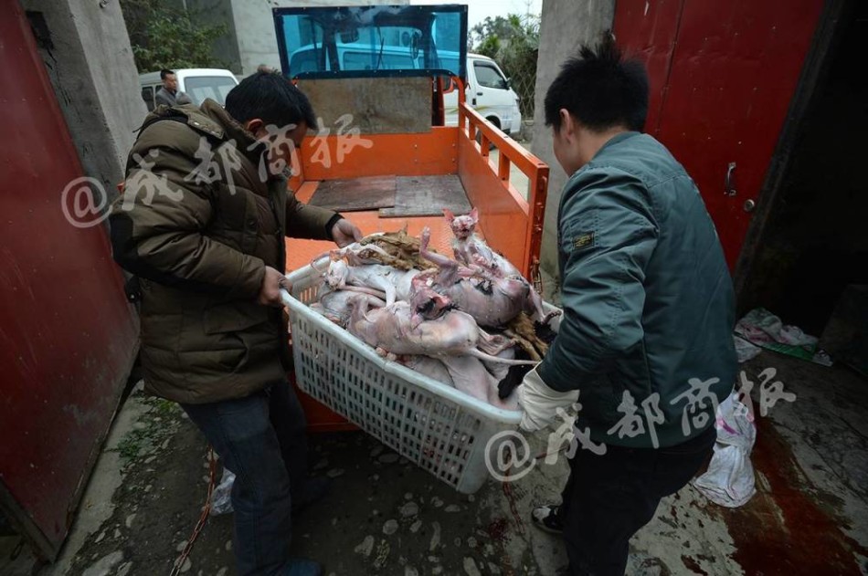 黄污网站国产