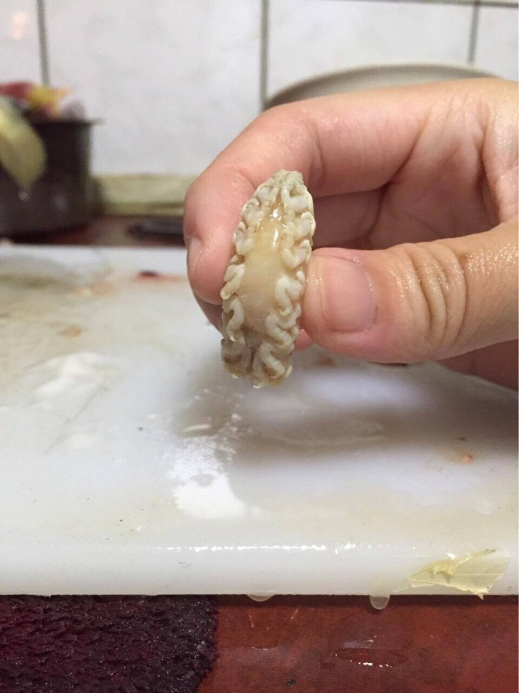 動感之星