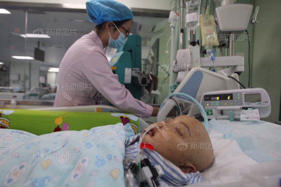 调教性奴网站