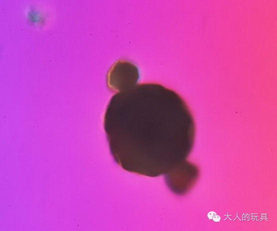 熟女人妻義母繼母