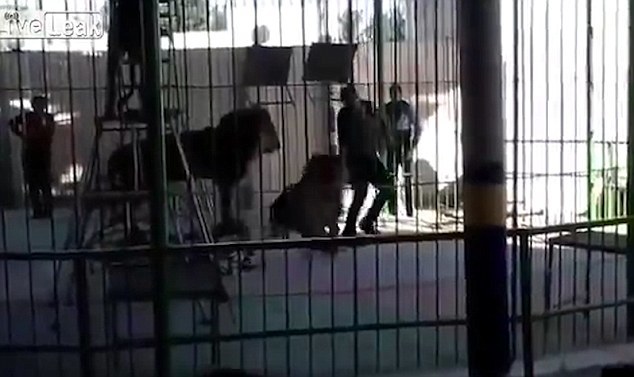 欧美性生活大战免费看