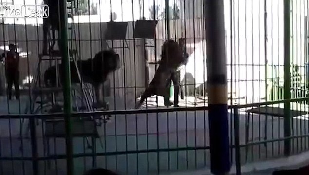 永久免费激情黄视频