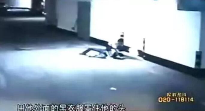 人与禽A片啪啪