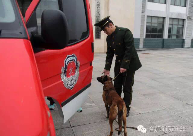 有谁帮忙推荐一个黄色网站免费
