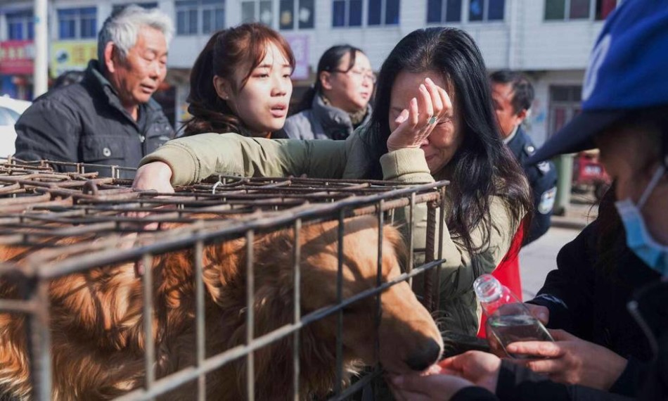 俄罗俄处破女A级出血摘花