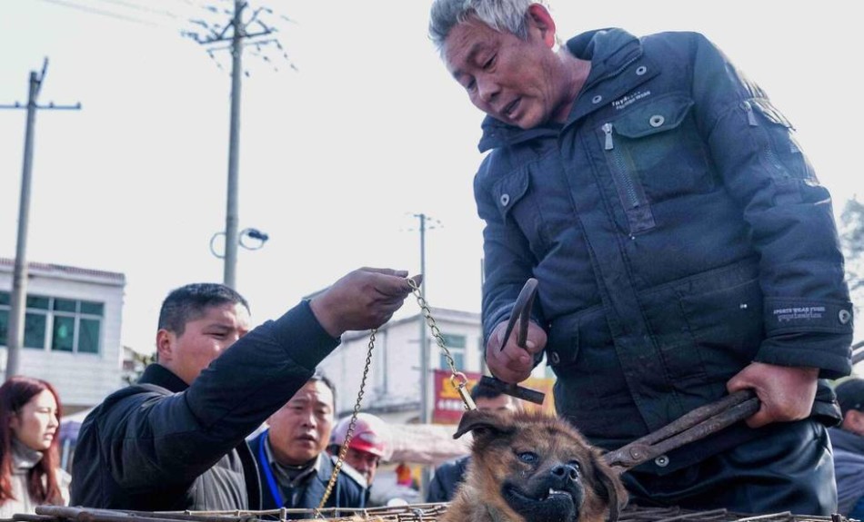 亚洲福利网站