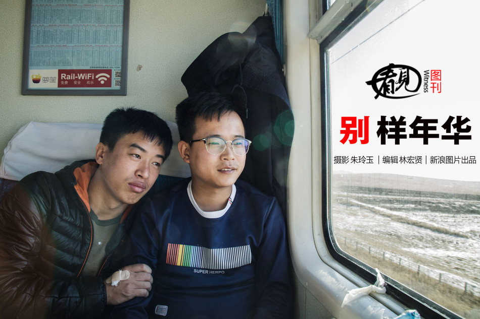 啄木鸟 成人 电影