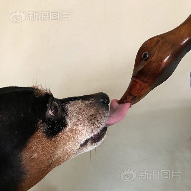 黄色视频黄色视频在线免费的