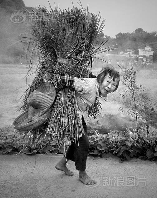 欧美孕妇黄片免费在线观看