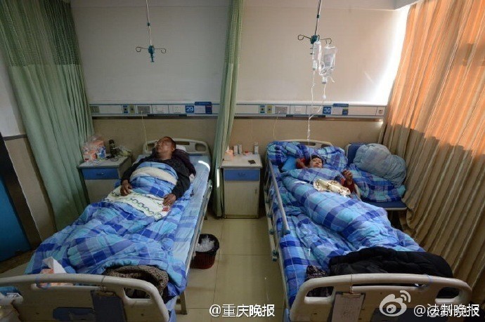 生死格鬥動畫