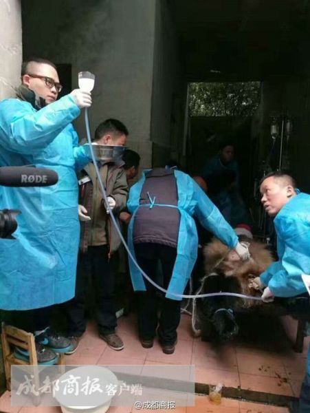 九一果冻制品厂潘甜甜手机的密码