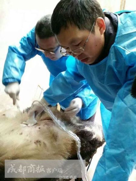 线 上 成人