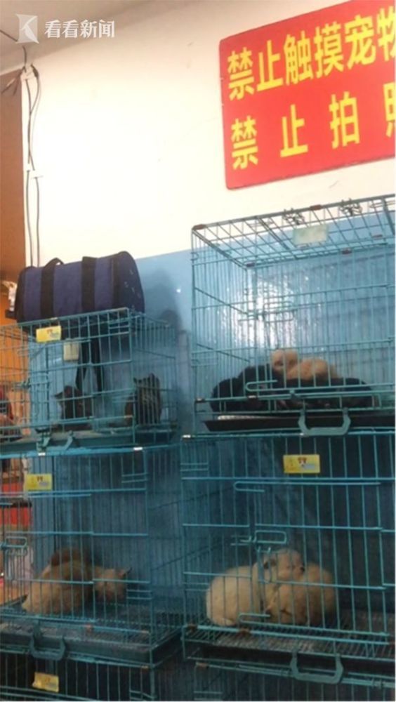 日女人的B