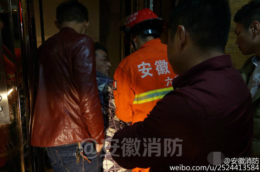夜月直播app下载免费看